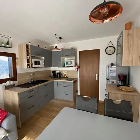 4 Pers, Rez-de-jardin, Pres Des Pistes, Parking, Animaux Acceptes - Fr-1-733-117 *