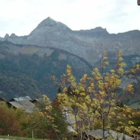 4 Pers, Rez-de-jardin, Pres Des Pistes, Parking, Animaux Acceptes - Fr-1-733-117 Apartment